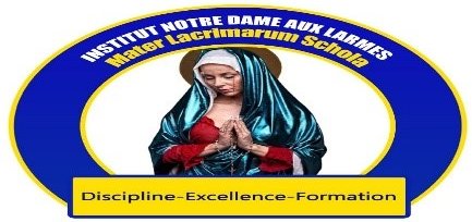 Logo Institut Notre Dame aux Larmes